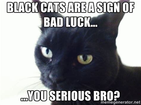 Well you're in luck, because here they come. Serious Black Cat Meme by PurfectPrincessGirl on DeviantArt