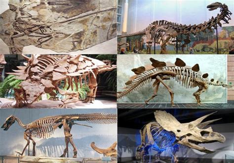 Interesting Facts To Know About Dinosaurs India News