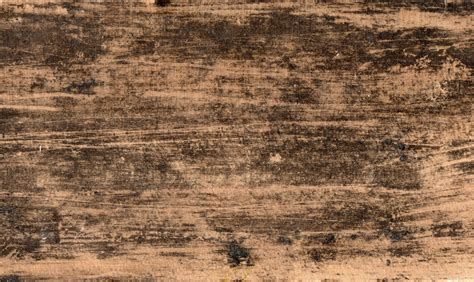 Free Photo Grunge Wood Texture Worn Surface Wood Free Download