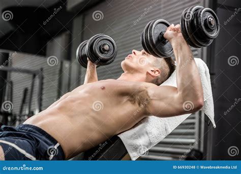 Shirtless Man Lifting Heavy Dumbbells On Bench Stock Photo Image Of