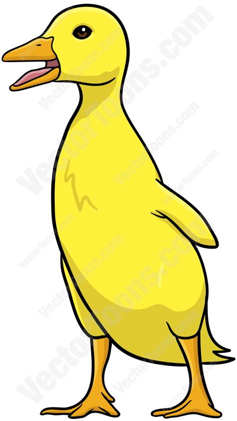 Baby Duckling Clipart Free Download On Clipartmag