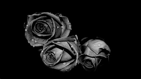 Wallpaper Keren Background Hitam - mywallpapers site
