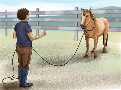 How To Round Pen A Horse 14 Steps With Pictures Wikihow