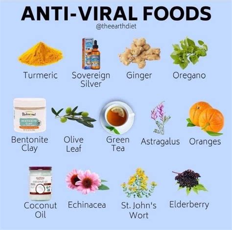 Stay healthy with our top antiviral recipes. Anti-Viral Foods | Anti viral foods, Healing food, Antiviral