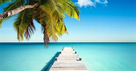 Tropical Beach Paradise K Desktop Images And Photos Finder