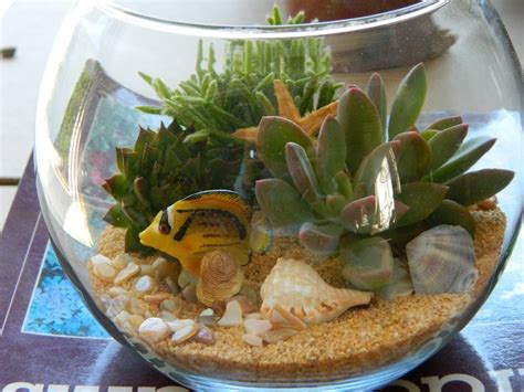 Fish tank decoration and fish tank plants fish tank decoration ideas fish tanks decorations,fish videos,fish tank,new videos,goldfish tank,betta fish tank. 1000+ images about old fish tank ideas on Pinterest ...
