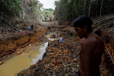 Brazil Court Decision Sparks Fears Indigenous Land Could Be Handed To Farmers Nyk Daily