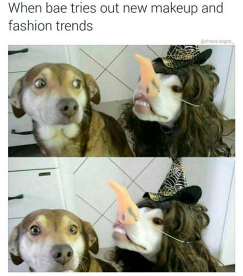 Fashion Memes 48 Pics