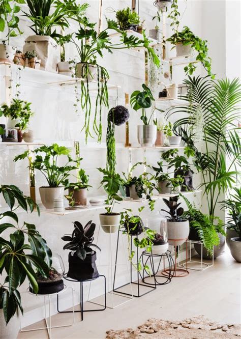 Get care instructions for your specific plants. Shopping - The Design Files | Australia's most popular ...