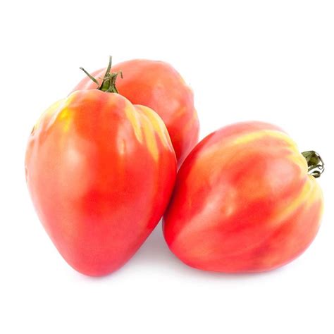 Tomato Oxheart Red Seeds The Seed Collection
