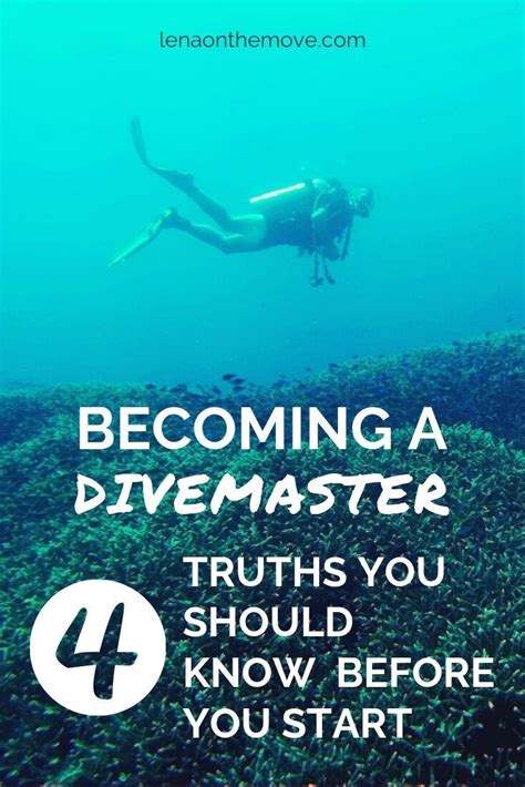 becoming a divemaster 4 truths you should know before you start diving good communication