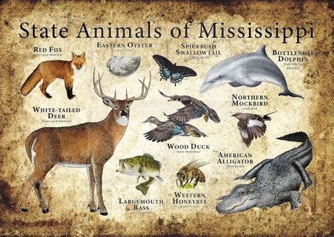 Mississippi State Animals Poster Print Etsy In 2021 Animals Animal