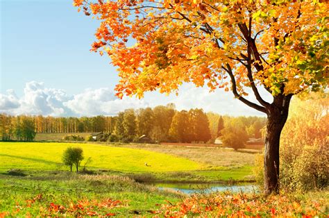 Imágenes con los más sorprendentes paisajes naturales que te hayas podido imaginar. Fondos Otoño, wallpapers autumn, fondos de pantalla de otoño