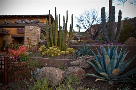 Pin By David Rodriguez On Inspiration Garden Desert Landscaping