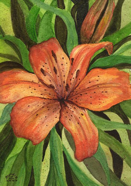 Tiger Lily Painting At Paintingvalley Com Explore Collection Of Tiger
