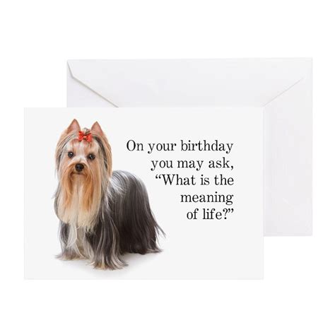 Funny Yorkie Birthday Card By Shopdogts