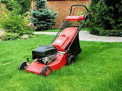 Maybe you would like to learn more about one of these? About Lawn Care, Winter Haven, Tampa, Orlando, St Cloud, FL