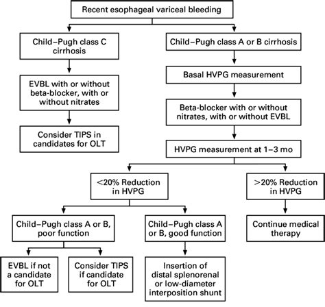 Suggested Algorithm For The Prevention Of Recurrent Variceal Bleeding