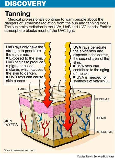 Tanning Is It Worth It Siowfa Science In Our World Certainty And Controversy