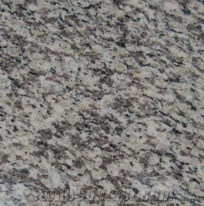 Tiger Skin White Granite From China Stonecontact Com
