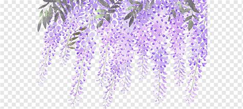 Lavender Flower Purple Wisteria Painted Lavender Wisteria Flowers