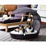Fancy Pet Beds For Dogs Pictures