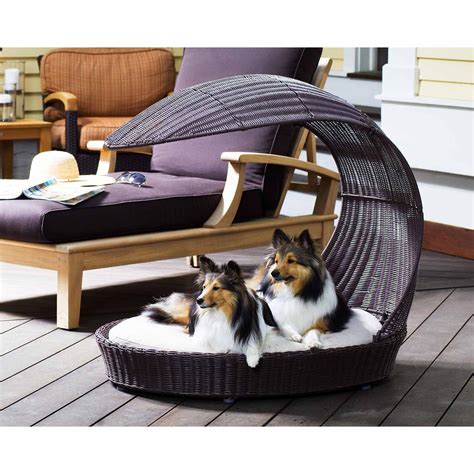 12 Beautiful Dog Beds That Will Instantly Enhance Your Homes Decor