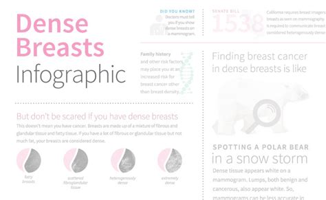 Dense Breasts Infographic Stanford Health Care