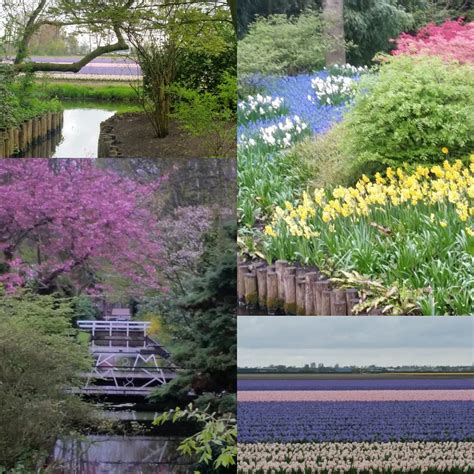 The Most Beautiful Spring Garden In The World