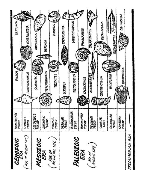 When igneous rocks form, minerals in them often contain only a parent isotope and none of the daughter isotope. Chapter 12 Fossila and Strata Part 1