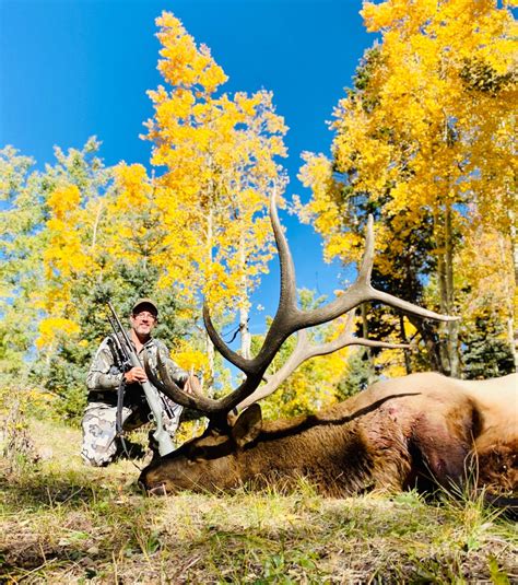 Elk Bison And Mule Deer Hunts Lodge At Chama