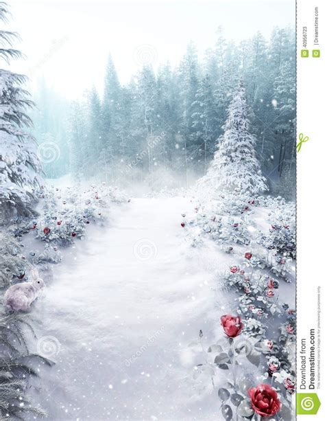 Snowy Meadow Stock Image Image Of Frozen Mystery Meadow 40956723
