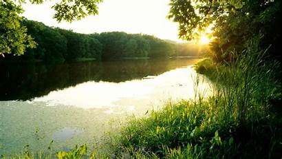 Forest Wallpapers Sunset Indiana Lakes State Cool