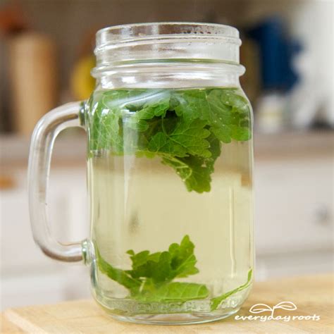 Got lots of female relatives and friends who are also usually being bugged by cramps during their period? 8 Home Remedies for Stomach Aches & Cramps | Everyday Roots