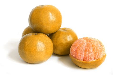 informasi   tips bermanfaat  memilih buah jeruk