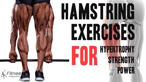 15 Best Hamstring Exercises For Strong And Functional Legs