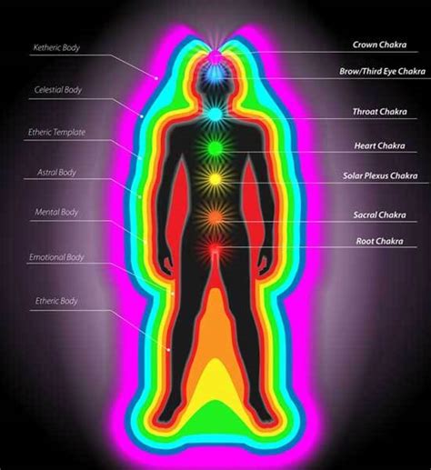 aura and chakra energy healing course school of natural health sciences