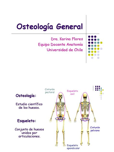 Osteologia Pdf Hueso Sistema Musculoesquelético