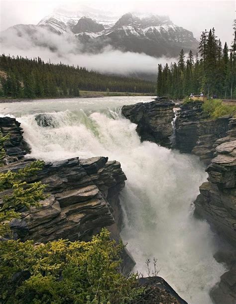 Athabasca Fallsalberta Canada Let It Flow Pinterest
