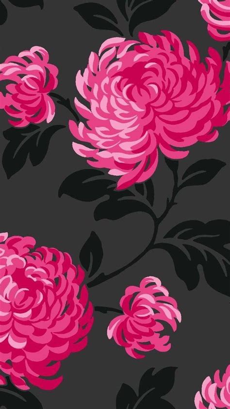 Fuchsia Wallpapers Top Free Fuchsia Backgrounds Wallpaperaccess
