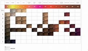 Viviance Demi Color Chart Colour Pinterest Colors