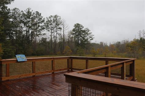 Debbie Lightsey Nature Park brings trails, boardwalk to Tallahassee