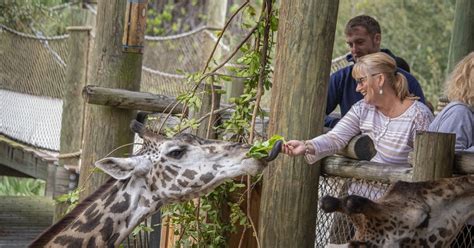 Admission To Brevard Zoo In Melbourne Musement