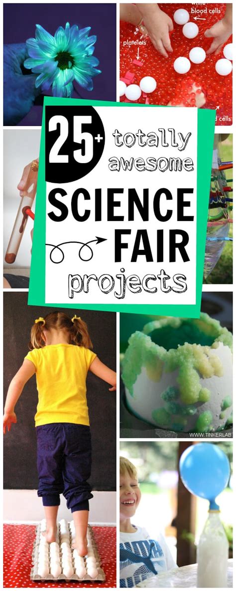 1000 Science Fair Project Ideas