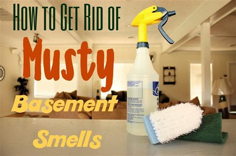 How To Get Rid Of Musty Basement Smells Plus Prevention Tips