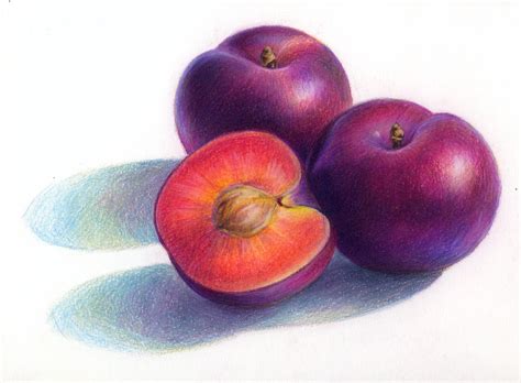 Pin By Penny Hansen On Colored Pencil Fruits Drawing Colored Pencil