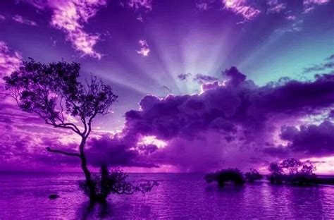 Beautiful Beautiful Nature Purple Sky Pictures