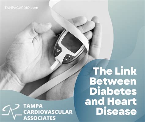 Exploring The Link Between Diabetes And Heart Disease