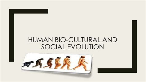 Solution Human Biocultural And Social Evolution Studypool