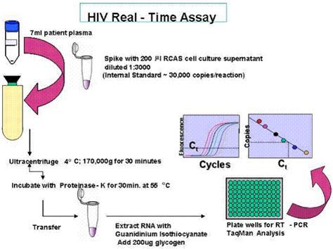 Maybe you would like to learn more about one of these? Pcr معنى - Diagnostics Free Full Text Molecular And ...